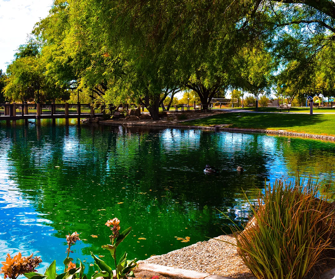 Tranquil park scene with green trees, a pond with ducks, and a wooden bridge.