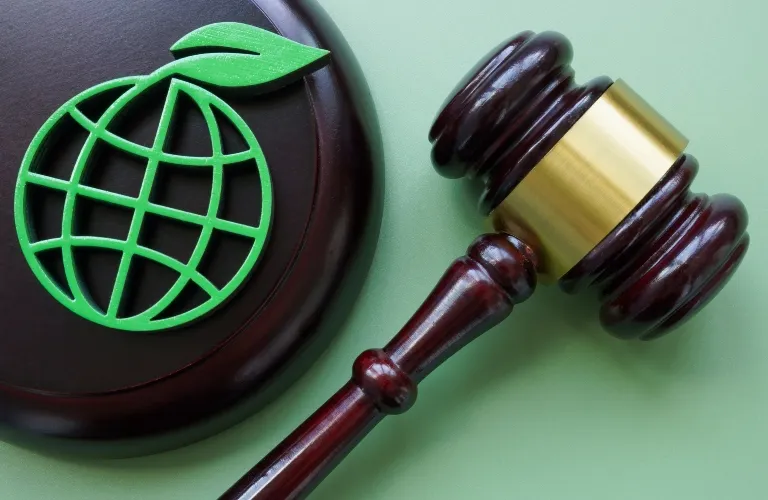 Dark wooden judge's gavel and sound block with green globe and leaf symbol on light green background.